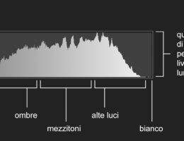 Scopriamo l'istogramma